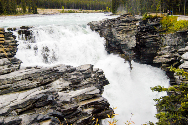 Athabasca Falls.