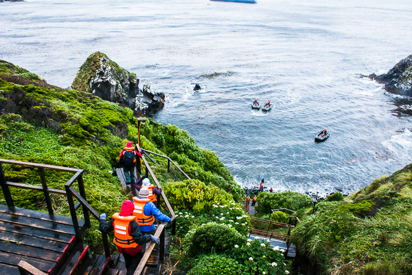 Heading back down the steep incline at Cape Horn, Chile to board the zodiacs.