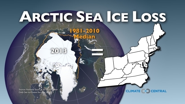 Loss in Arctic sea ice.