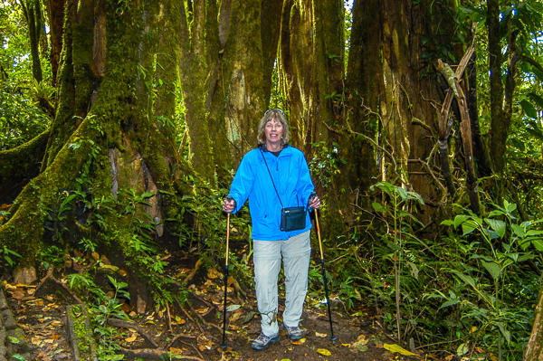 Rebecca in front of a big tree in the Monteverde Cloud forest.
