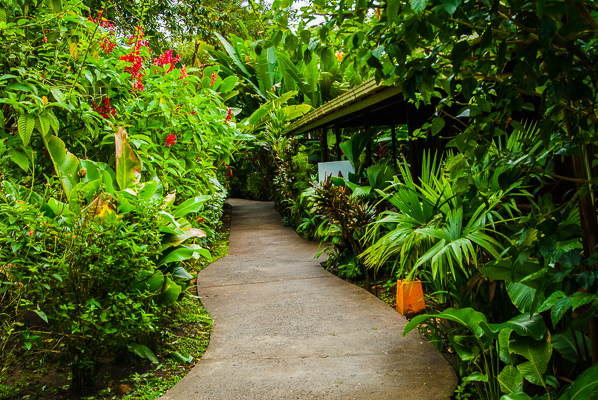 Walk past rooms at Pachira Lodge.